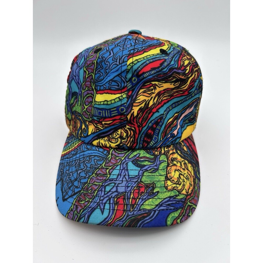 RARE! Vincent Gordon Grassroots California Adjustable Hat Colorful Abstract